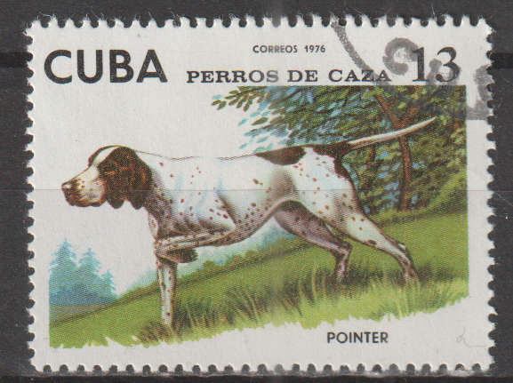 THEMATIC DOGS CUBA CTO