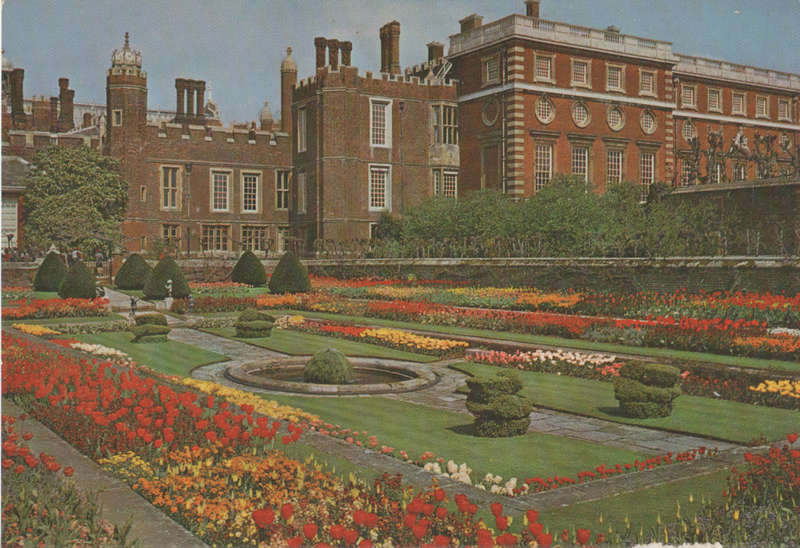 MINT POST CARD