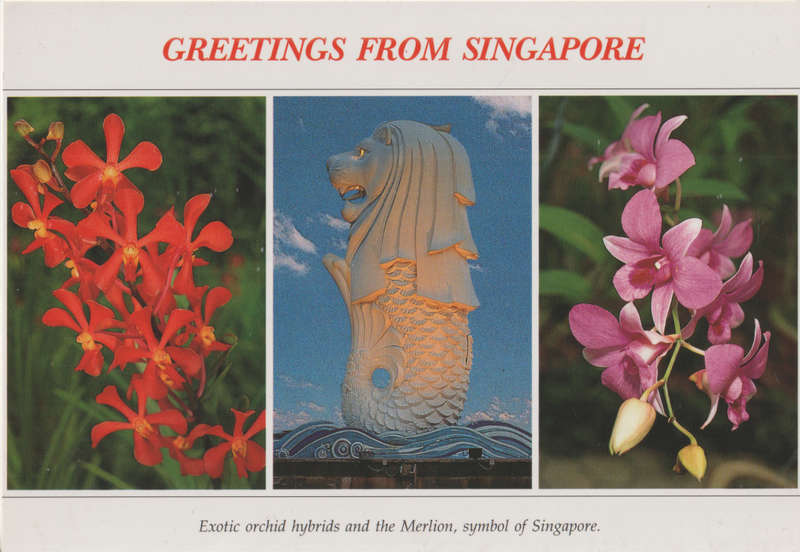 MINT POST CARD