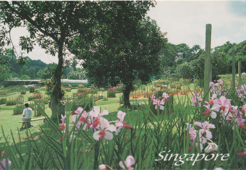USED POST CARD