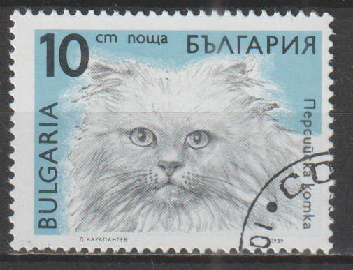 THEMATIC CATS BULGARIA CTO
