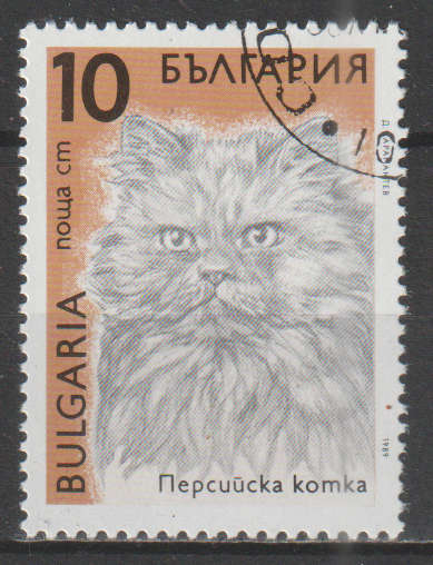 THEMATIC CATS BULGARIA CTO