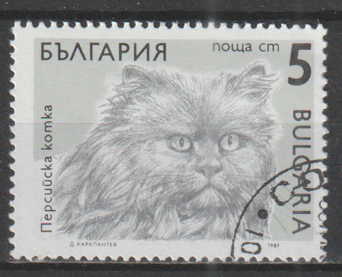THEMATIC CATS BULGARIA CTO
