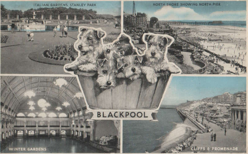 USED POST CARD