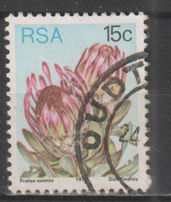 RSA 1977 Flora - Protea Plants UNH