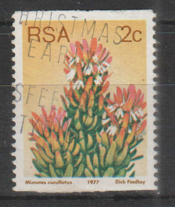 RSA 1977 Flora - Protea Plants UNH