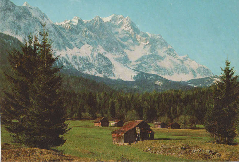 MINT POST CARD