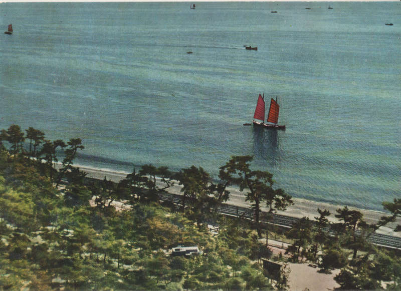 MINT POST CARD