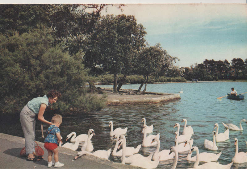 MINT POST CARD