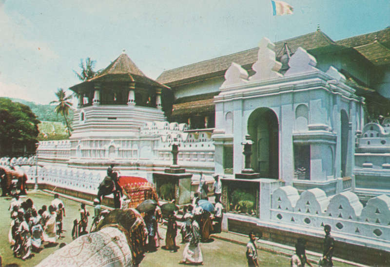 MINT POST CARD