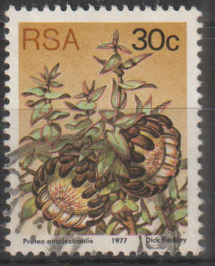 RSA 1977 Flora - Protea Plants ULH