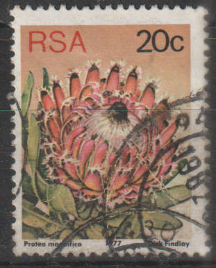 RSA 1977 Flora - Protea Plants ULH