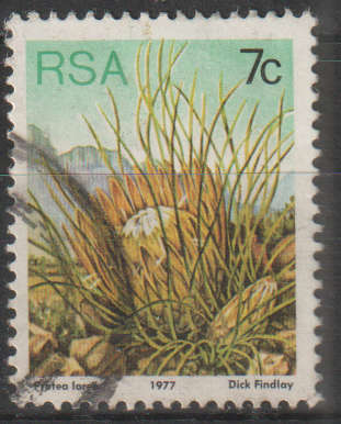 RSA 1977 Flora - Protea Plants ULH
