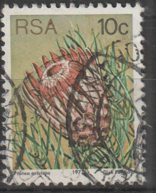 RSA 1977 Flora - Protea Plants ULH
