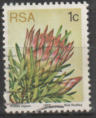 RSA 1977 Flora - Protea Plants ULH