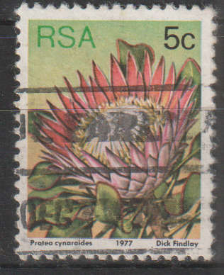 RSA 1977 Flora - Protea Plants ULH