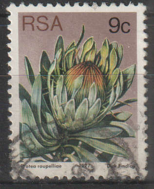 RSA 1977 Flora - Protea Plants ULH