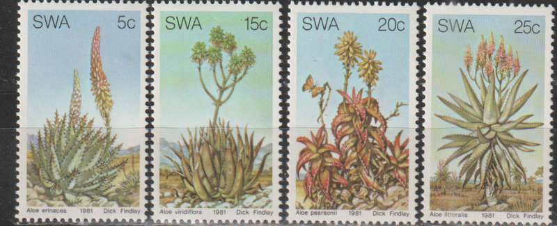 SWA 1981 Aloes UMM