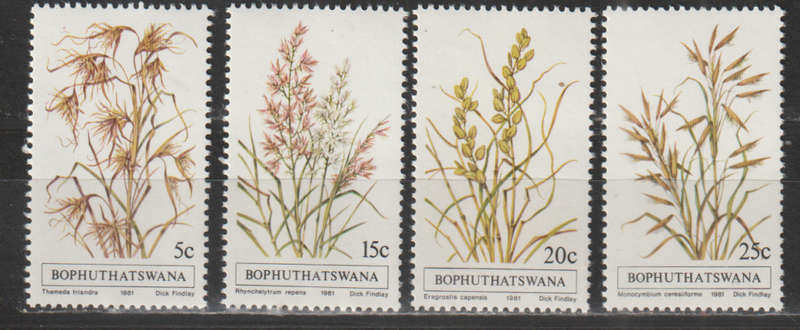 BOPHUTHATSWANA 1981 Indigenous Grasses UMM