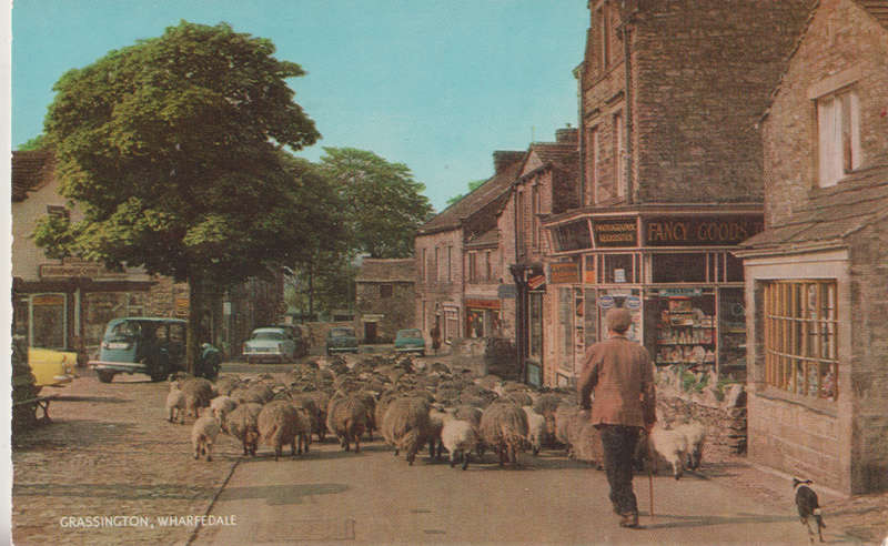 MINT POST CARD