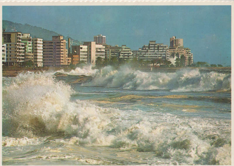 MINT POST CARD SA