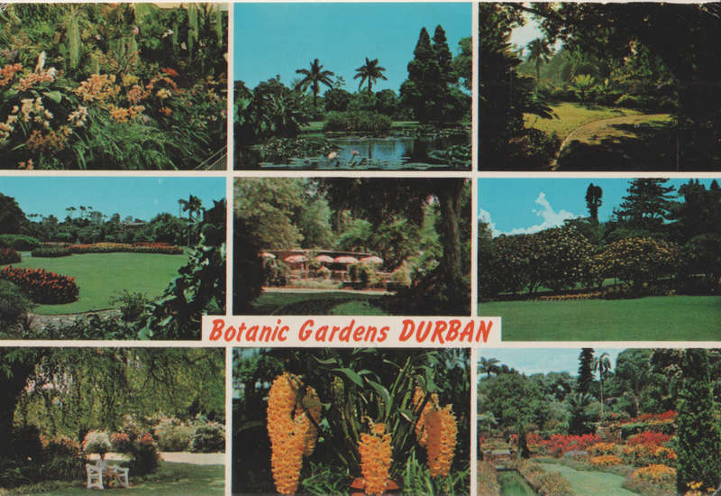 MINT POST CARD SA