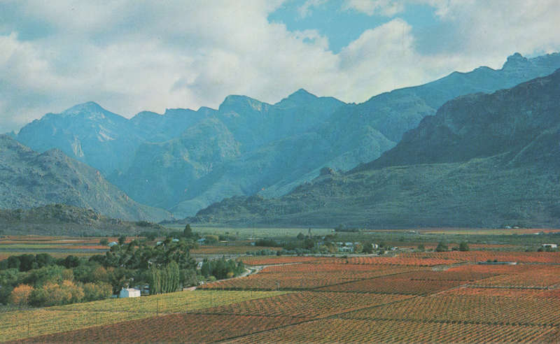 MINT POST CARD SA