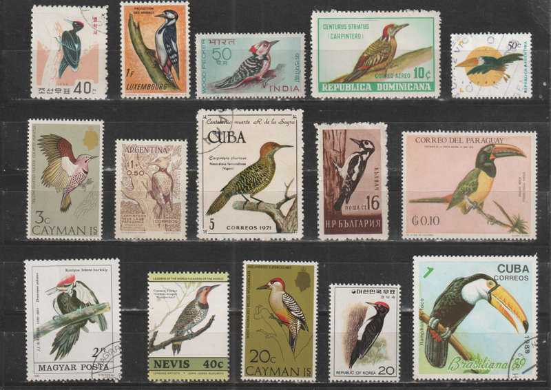 BIRD SELECTION BID PER STAMP TO TAKE ALL CARD EXCLUDED