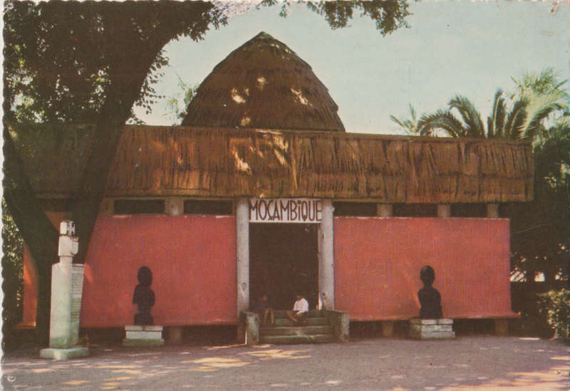 MINT POST CARD MOZAMBIQUE