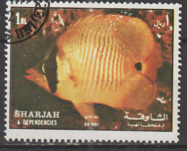 THEMATIC FISH SHARJAH ULH