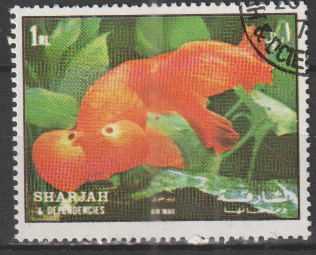 THEMATIC FISH SHARJAH ULH