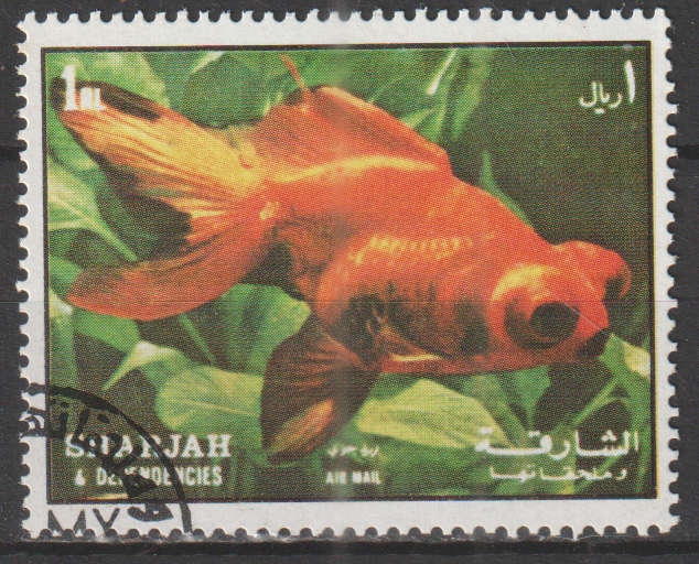 THEMATIC FISH SHARJAH ULH