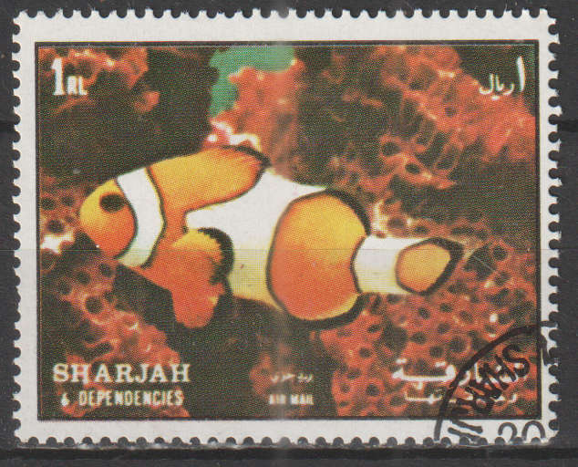 THEMATIC FISH SHARJAH ULH