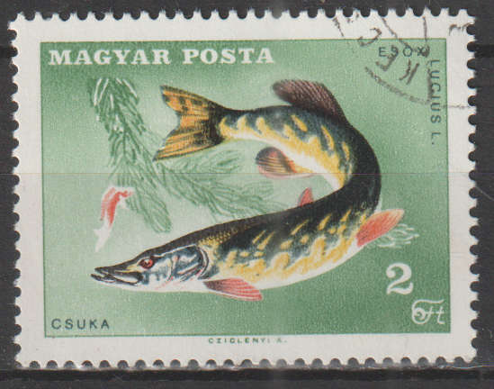 THEMATIC FISH HUNGARY ULH