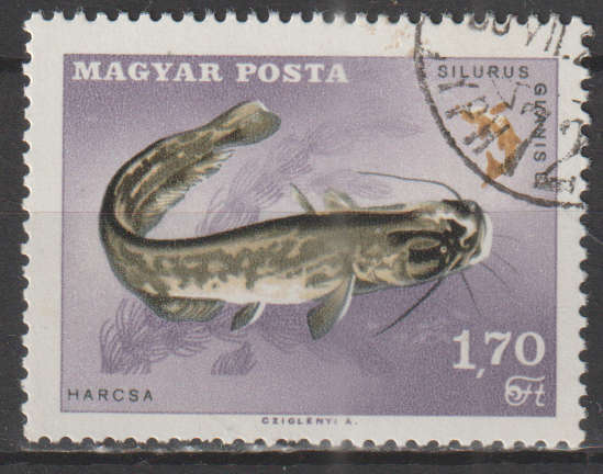 THEMATIC FISH HUNGARY ULH