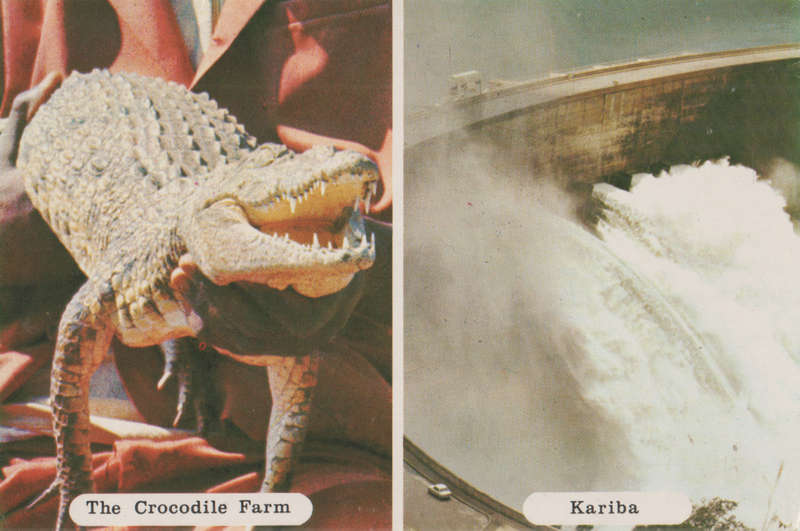 USED POST CARD