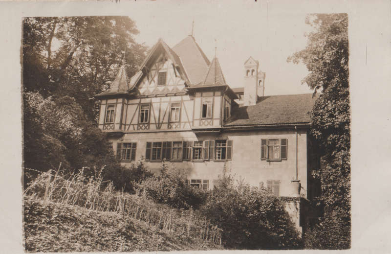 MINT POST CARD