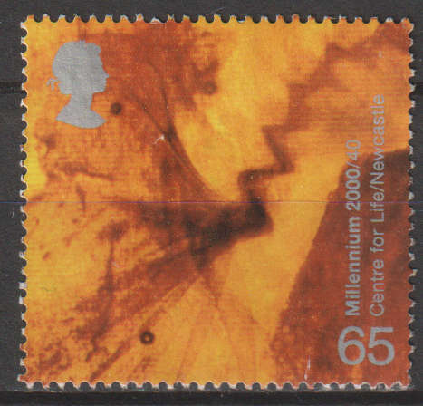 GB  2000 Body and Bone ULH SG 2169