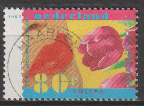 NETHERLANDS 1996 Nature Preservation ULH SG 1789