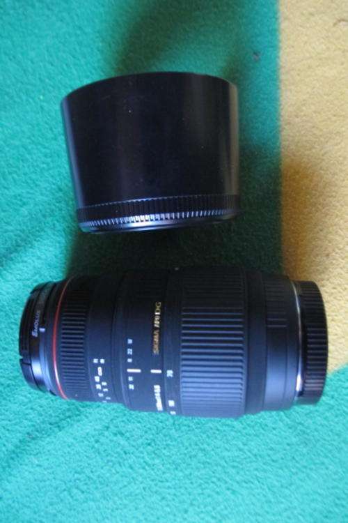 Sigma 70-300 APO DG