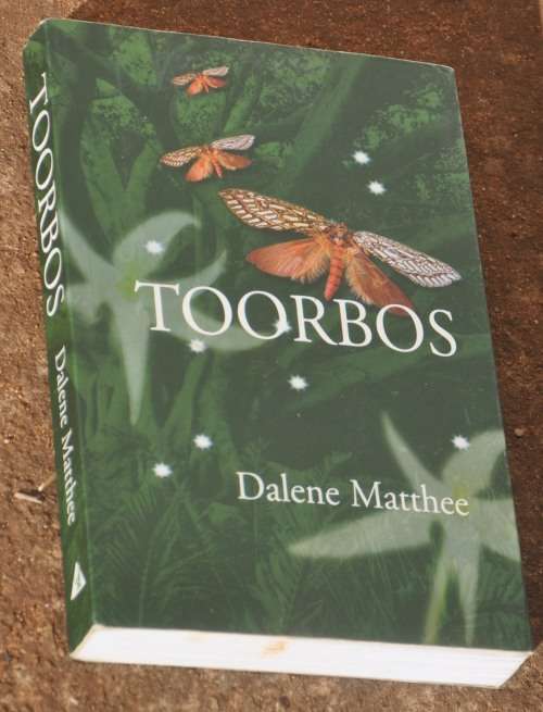 TOORBOS deur Dalene Matthee, sagte band, puik kondisie