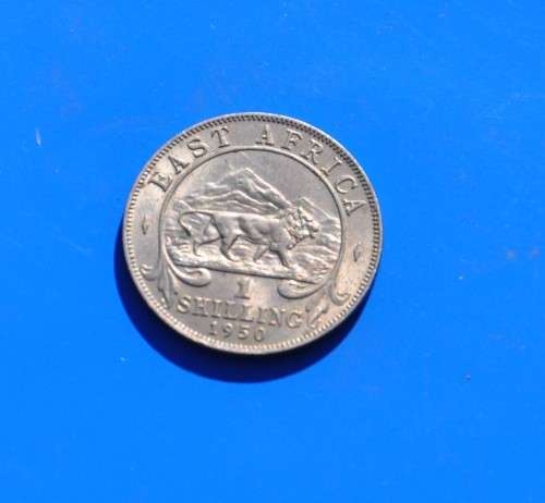 EAST AFRICA 1 Shilling 1950 ***lucrative numismatic collectible*** almost uncirculated