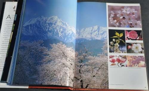 JAPAN The Cycle of Life - Fantastic richly illustrated book on this beautiful country and her people