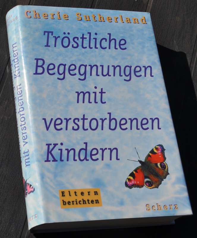 Tröstliche Begenungen mit verstorbenen Kindern (REINCARNATION OF CHILDREN)