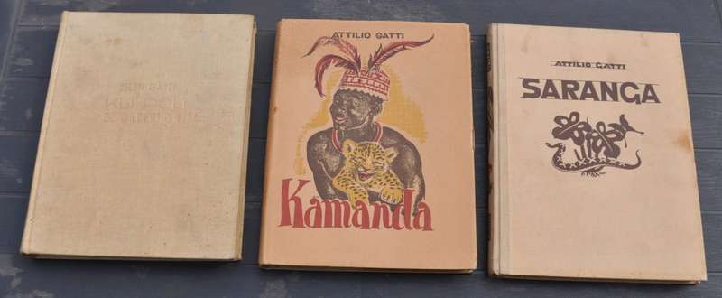 3 vintage hard cover books by ATTILIO GATTI  - in Dutch
