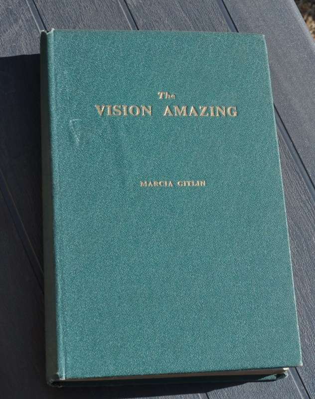 THE VISION AMAZING The Story of South African Zionism