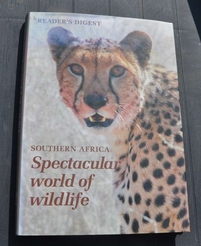 SPECTACULAR WORLD OF WILDLIFE IN SOUTHERN AFRICA  - huge pictorial collectible by Duggan & Joyce