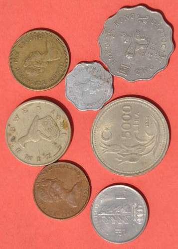 TURKEY HONG KONG NEW ZEALAND BELGIUM SEYCHELLES - VERY INTERESTING NUMISMATIC LOT - Your bid for all