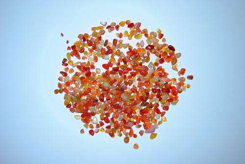 Agate - Carnelian - Size 0
