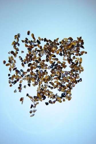Tigers Eye - Gold - Size 0